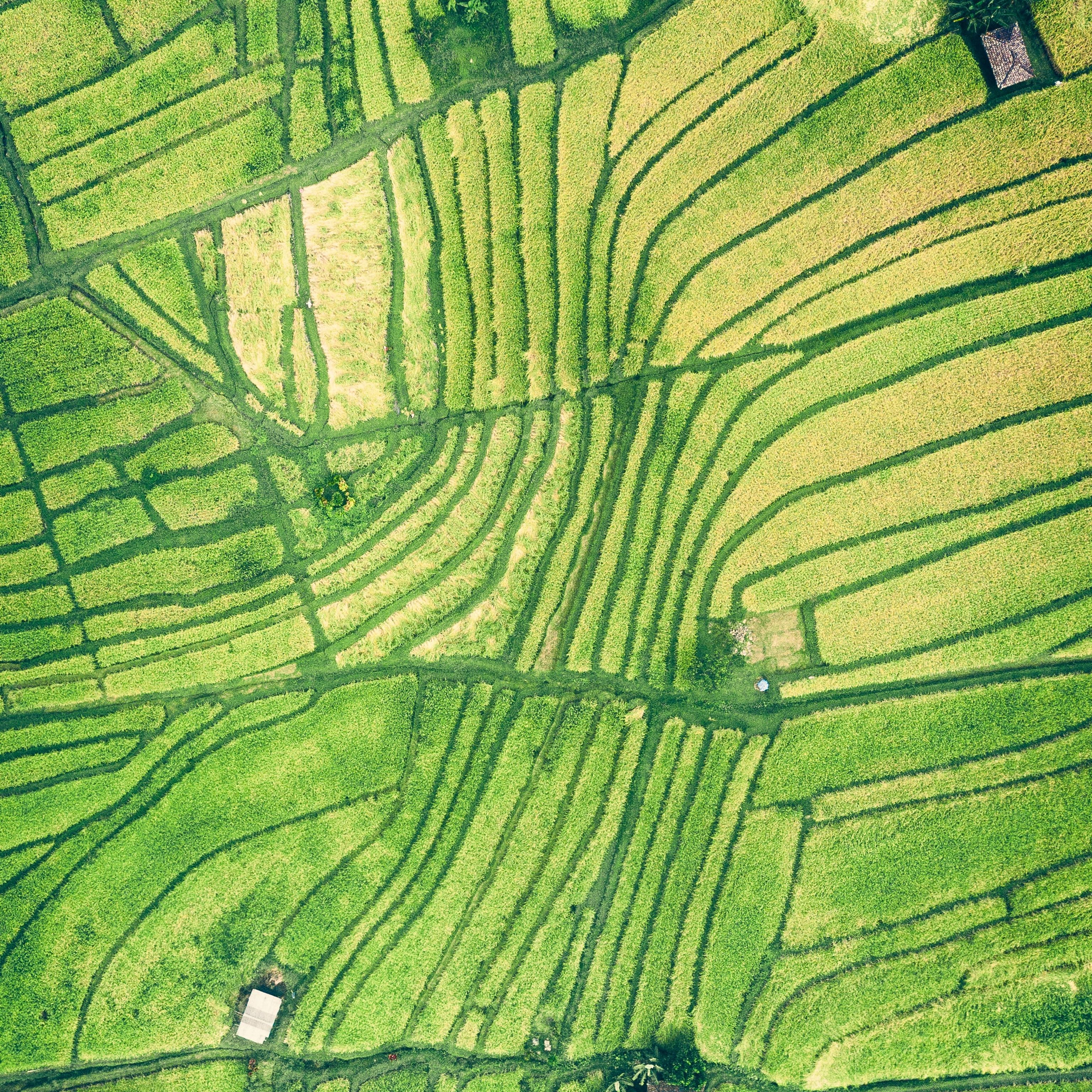 Fields from above